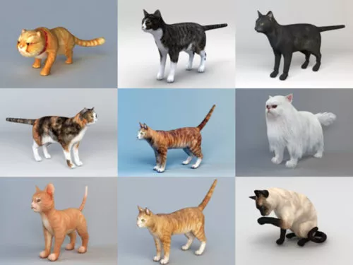 10 Realistic Cat Free 3D Models – Week 2020-41