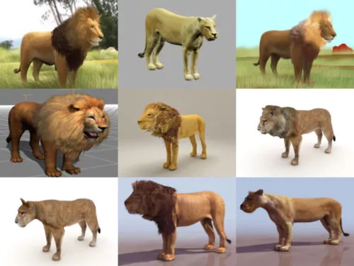 10 Realistic Lion Free 3D Models