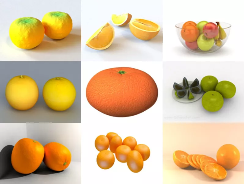 10 Realistic Orange Fruit 3D Models Collection