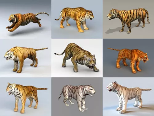 10 Realistic Tiger Free 3D Models – Week 2020-41
