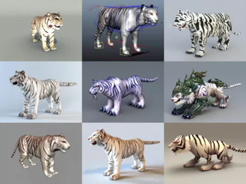 10 White Tiger Free 3D Models