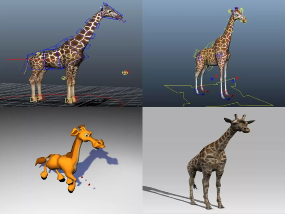 5 Rigged Giraffe Free 3D Models