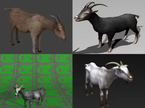 6 Mountain Goat 3D Models Free Download