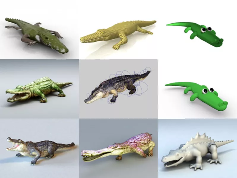 9 Alligator 3D Models – Week 2020-44