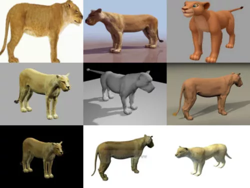 9 Lioness Free 3D Models Collection
