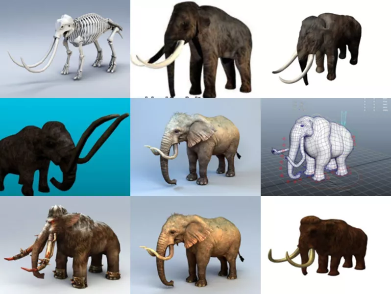 9 Mammoth Animal 3D Models – Week 2020-43