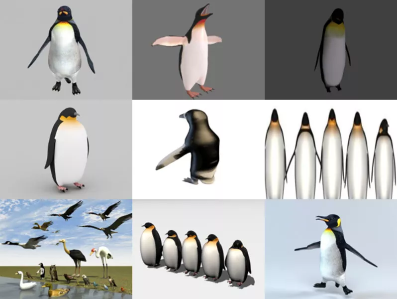 9 Realistic Penguin 3D Models – Week 2020-44
