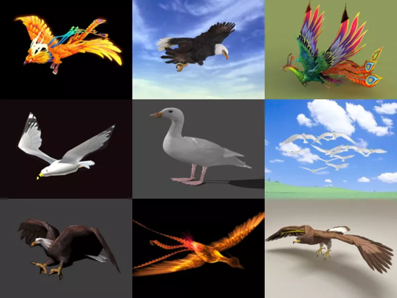 Collection 12 Bird Animation Free 3D Models – Week 2020-43