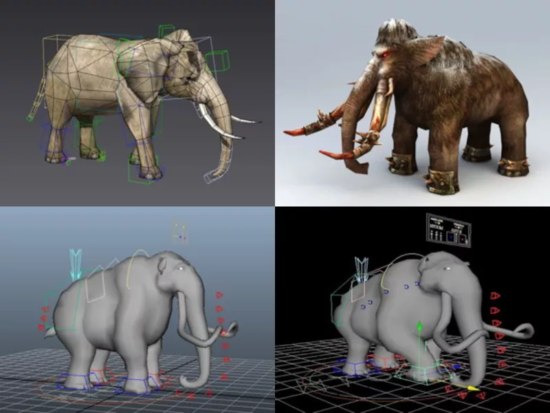 Download 6 Elephant Rigged 3D Models – Week 2020-43