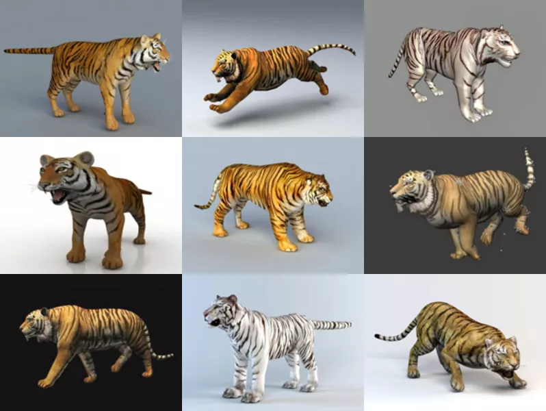 Download 9 Animal Tiger Realistic 3D Models – Week 2020-43