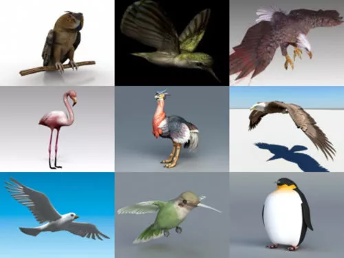 Top 10 Bird Free 3D Models Animal – Week 2020-41