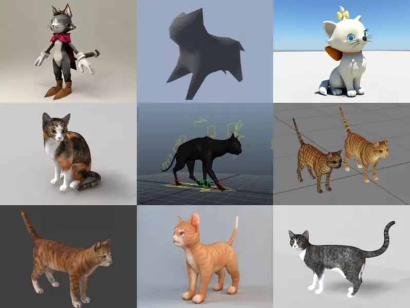 Top 10 Cat 3D Models Collection – Week 2020-44