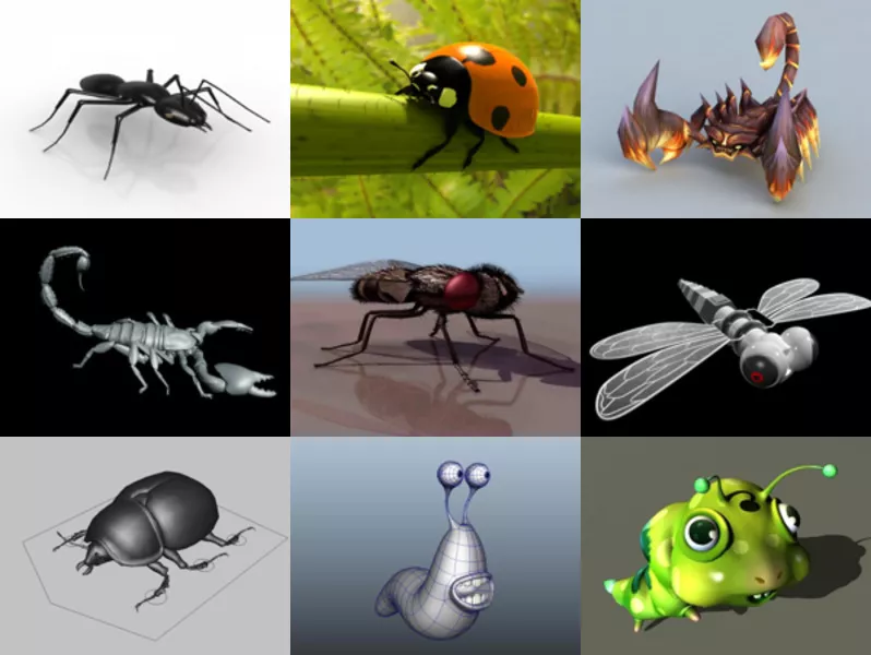 Top 10 Insect 3D Models Collection – Week 2020-44
