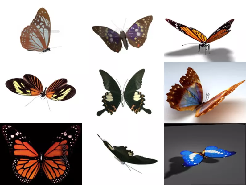 Top 12 Butterfly Free 3D Models Animal – Week 2020-44