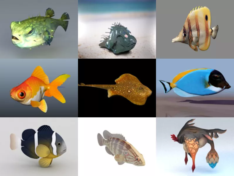 Top 12 Fish 3D Models Collection – Week 2020-44