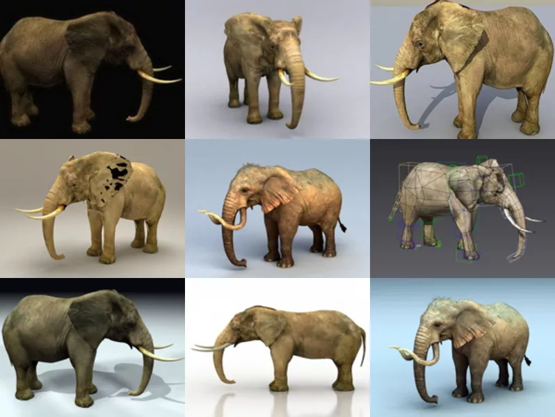 Top 9 Animal Elephant Realistic 3D Models – Week 2020-43