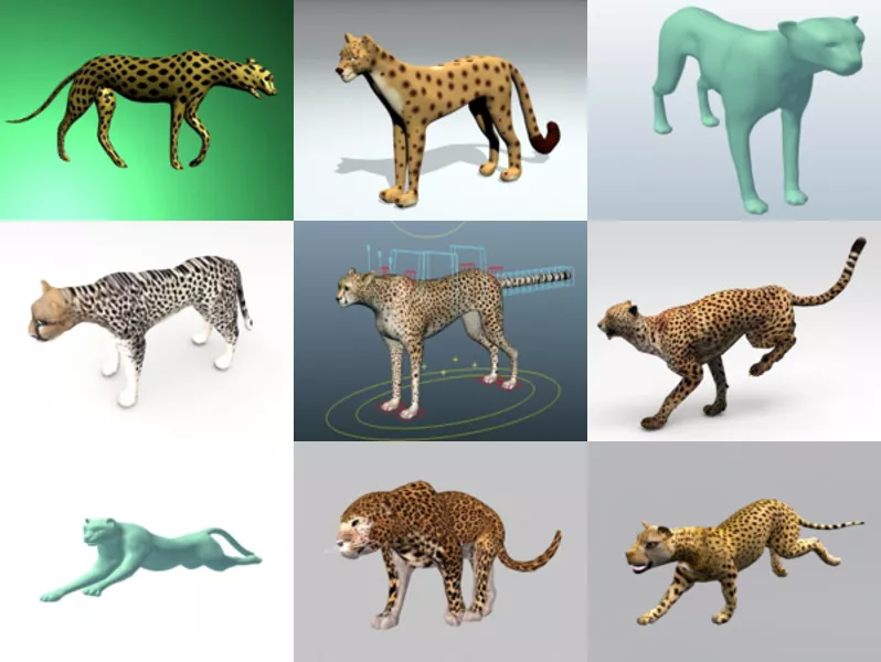 10 Cheetah Free 3D Models Collection