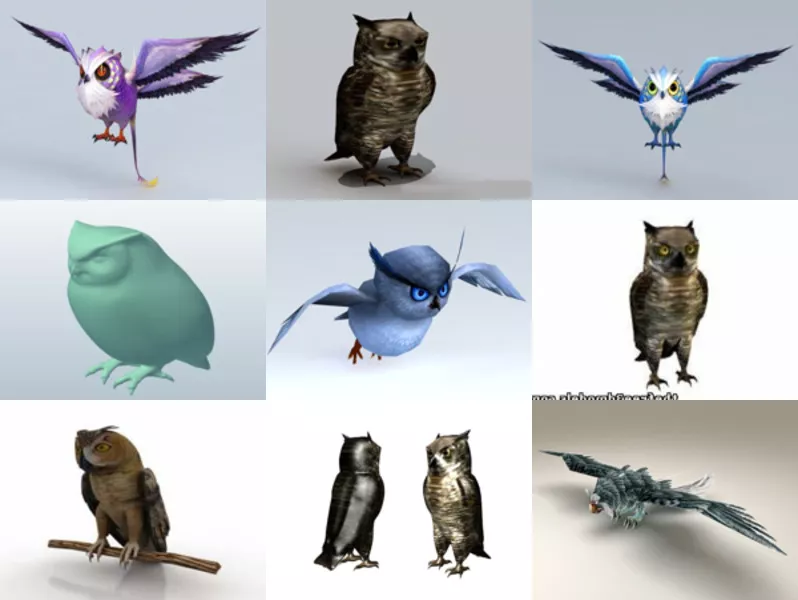10 Owl Bird Animal 3D Models Collection