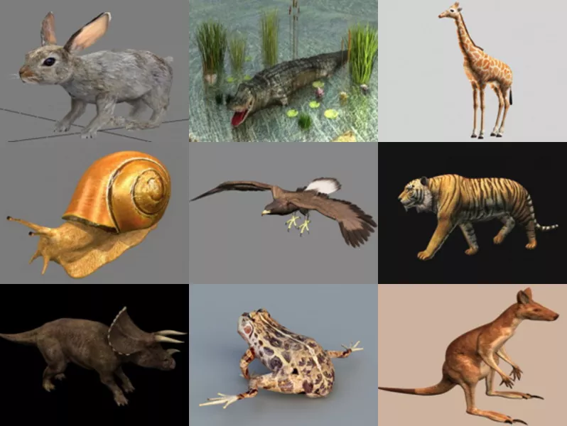 10 Realistic Animal Free 3D Models Collection – Week 2020-46