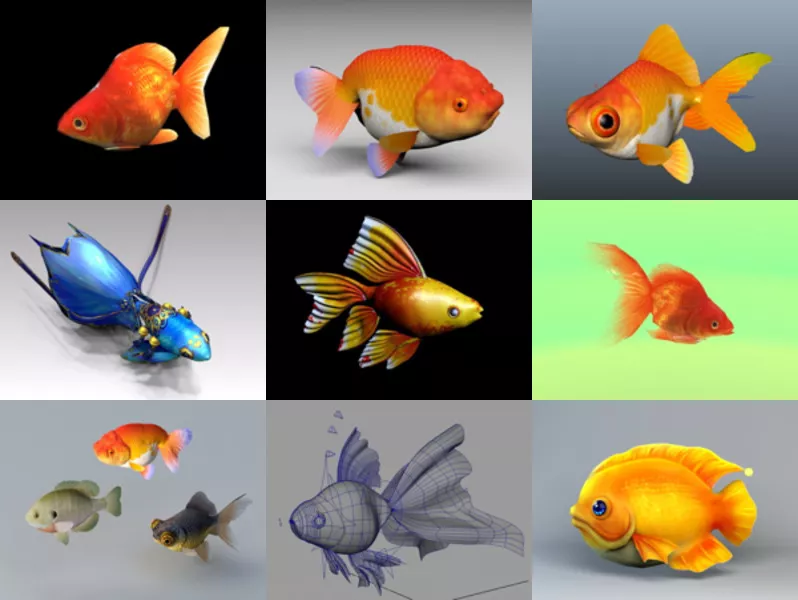 10 Realistic Goldfish Free 3D Models Collection