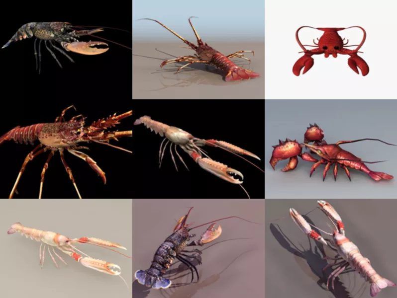 10 Realistic Lobster Free 3D Models Animal Collection