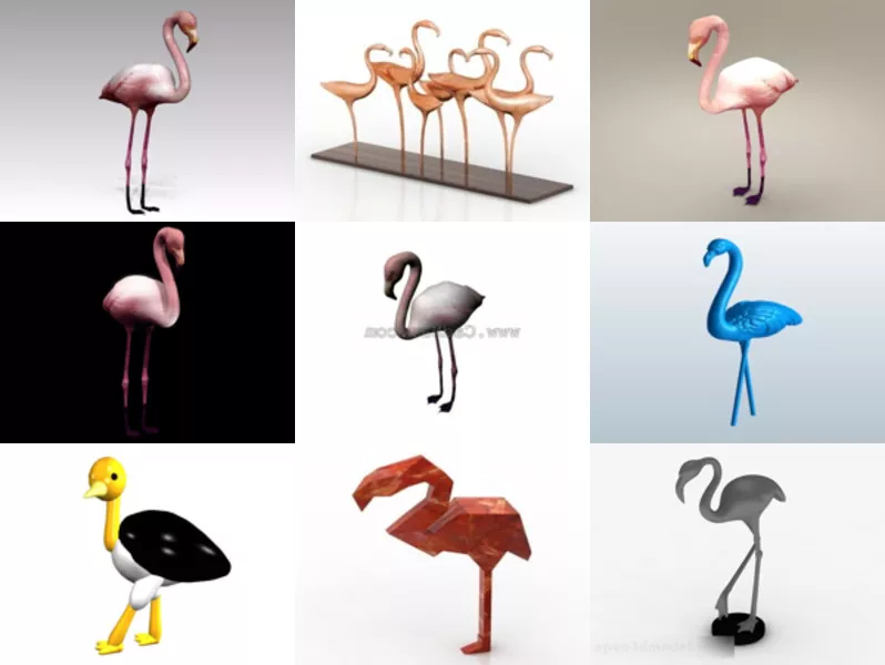 9 Flamingo Free 3D Models Collection