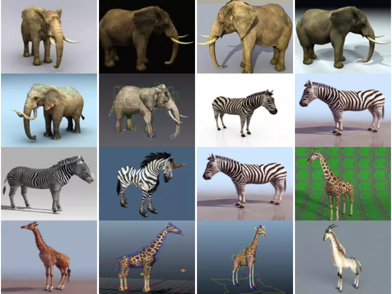 20 Realistic 3ds Max Animal Free 3D Models: Elephant, Zebra, Giraffe, Rhino