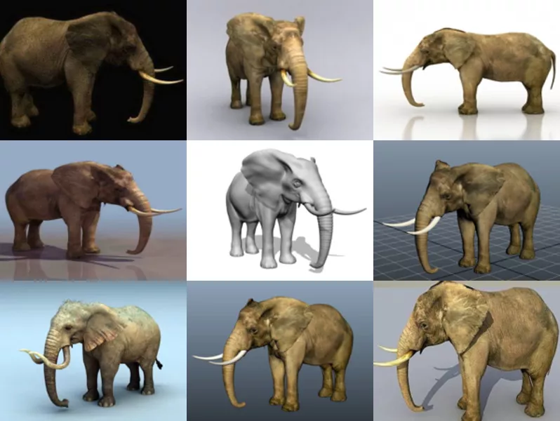 Download 10 Realistic Elephant Animal Free 3D Models – High Detailed 3D Animal