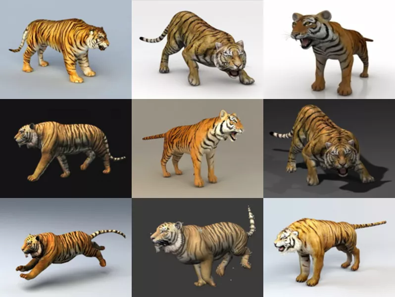 10 Tiger Animal 3D Models for Free Download in Realistic & High Quality Style