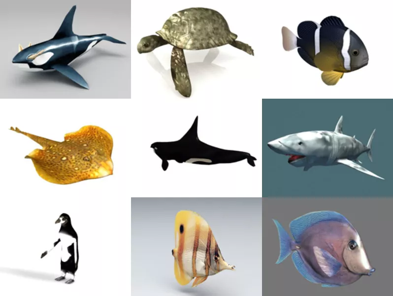 10 Sea Animal Free 3D Models: Whale, Turtle, White Shark, African Penguin, Tang Fish