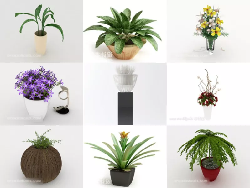 12 Free 3D Models Indoor Potted Plant with Vase, Flower, Decoration Pot
