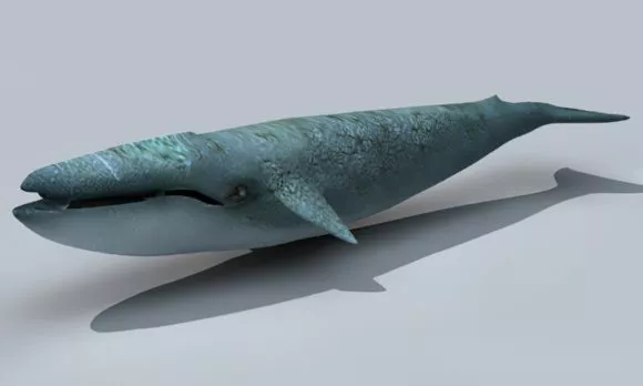 Devil Caterpillar Character 3d model