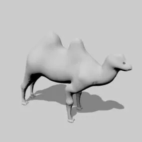 African Camel Low Poly 3d model