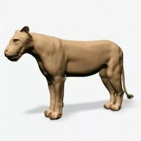 Lioness 3d model