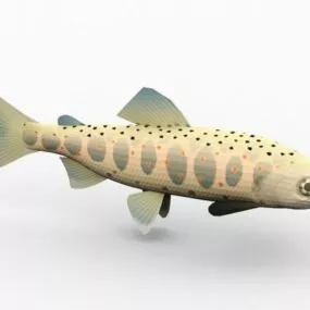 Amago Salmon River Fish 3d model