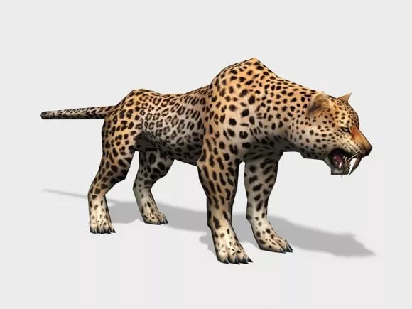 Amur Leopard 3d model Amur Leopard 3d model