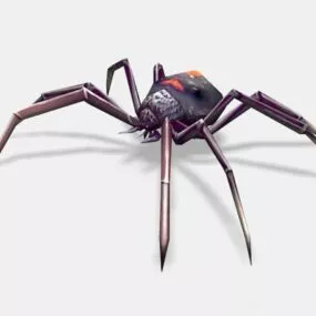 Animated Black Spider 3d model