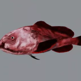 Animated Red Blobfish 3d model