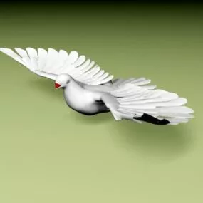 Animated Pigeon With Rigged 3d model