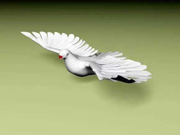 Animated Pigeon With Rigged 3d model Animated Pigeon With Rigged 3d model