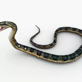 Animated Snake 3d model