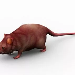 Wild Mouse Animated 3d model