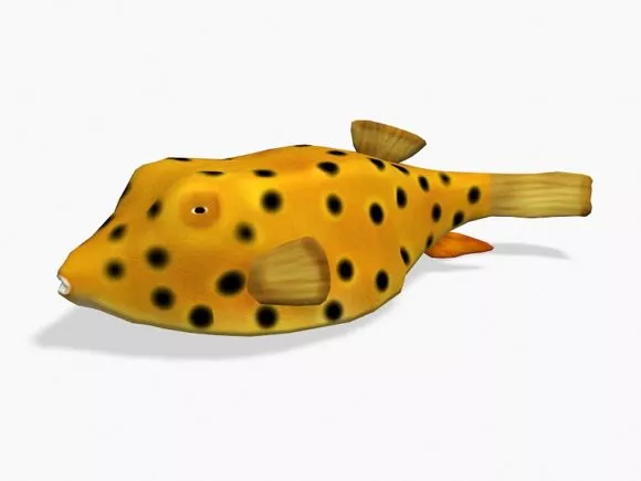 Yellow Boxfish Animated 3d model Yellow Boxfish Animated 3d model