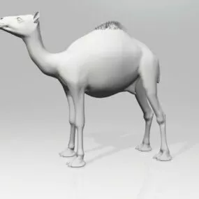 Arabic Camel 3d model