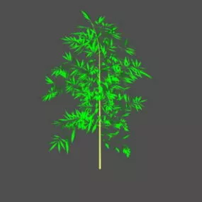 Low Poly Bamboo Plant 3d model