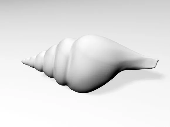 Realistic Sea Shell 3d model