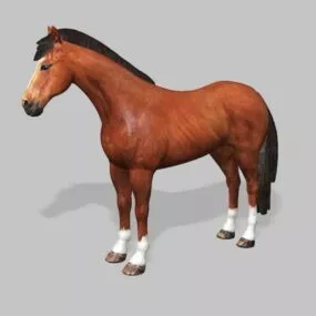 Beautiful Bay Horse 3d model