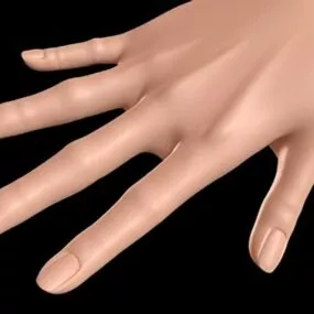 Female Hand 3d model
