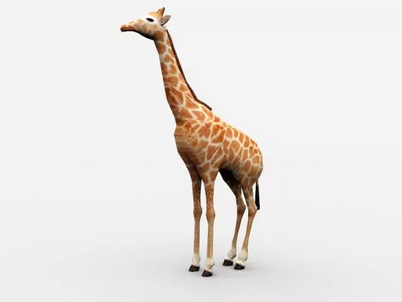 Bengal Tiger 3d model