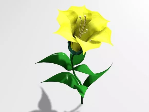 Plants Cactus Flower 3d model